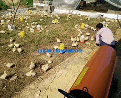 燃油養殖暖風機應用于育雛加溫